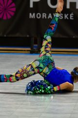 IMG_8252