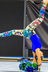 IMG_8261